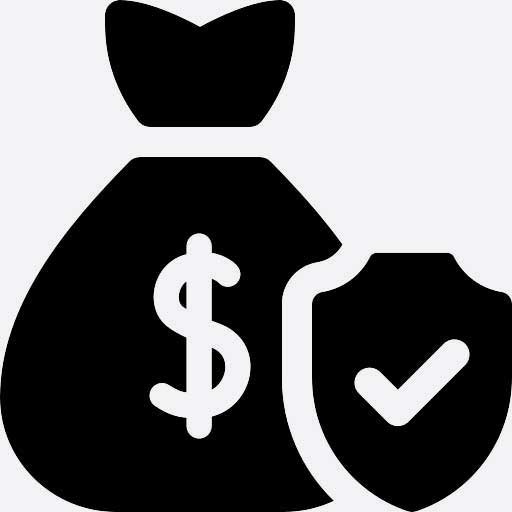 Money Icon
